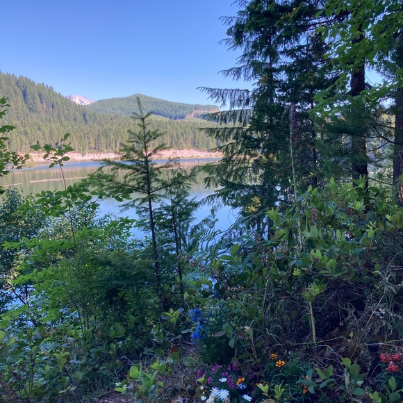 2 items = 30% off ๐ฅ - Picture 4 of 10